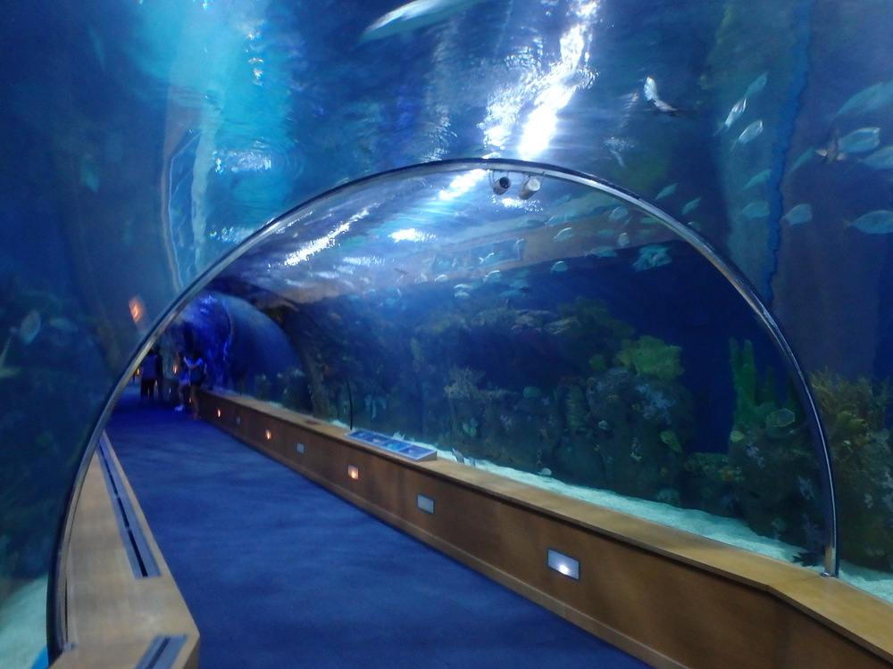 L'Oceanogr&agrave;fic Center.